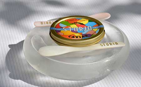 Roselières restaurant gastronomique près de Royan, à Saujon en Charente Maritime