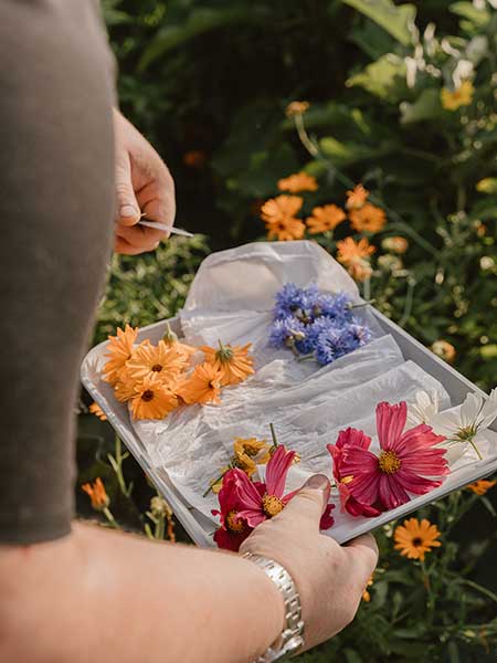 Dîner Unique avec Disent-Elles le vendredi 13 décembre 2024 à 20h | Roselières restaurant gastronomique