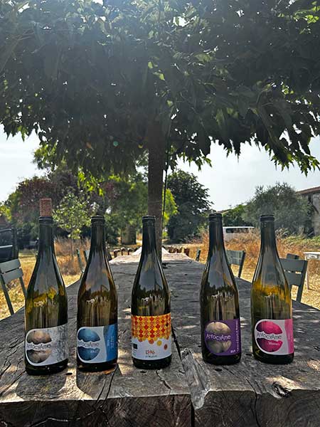 Repas Vigneron avec les Roselières restaurant gastronomique proche de Royan